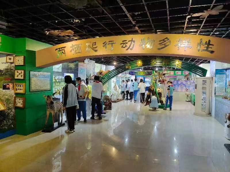 韩国a片
组织学生参观海南生物多样性博物馆
