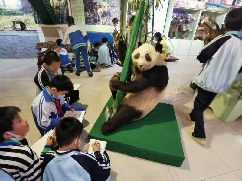 韩国a片
组织学生参观海南生物多样性博物馆