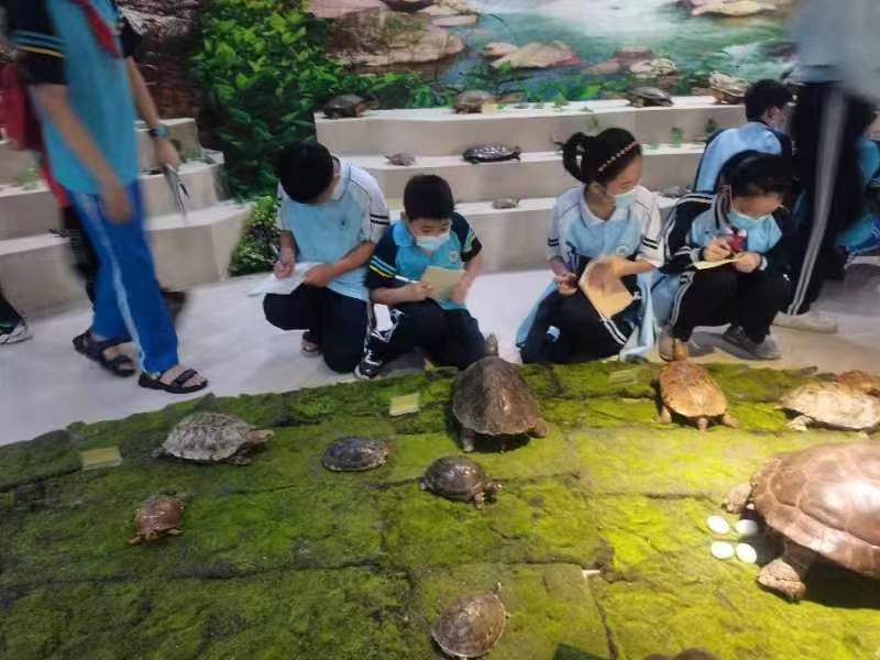 韩国a片
组织学生参观海南生物多样性博物馆
