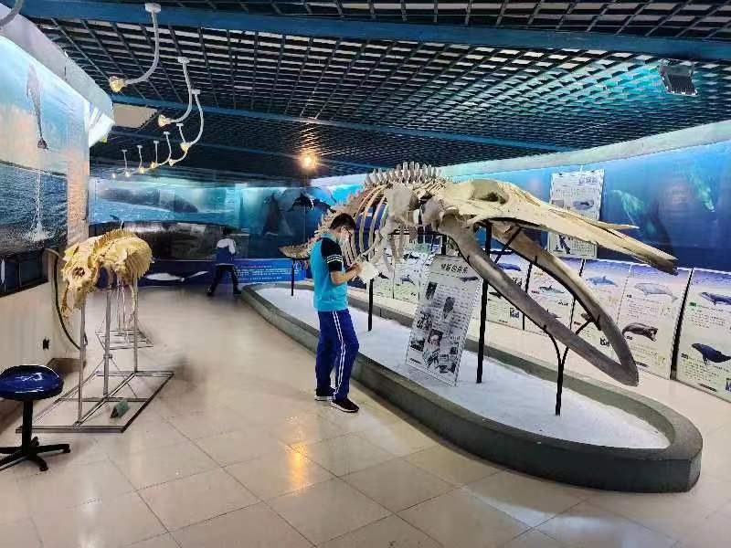 韩国a片
组织学生参观海南生物多样性博物馆