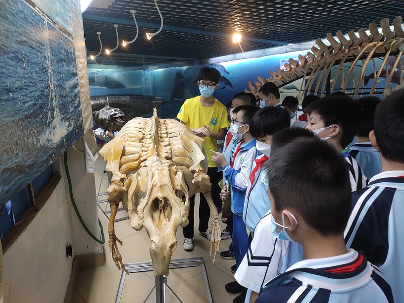 韩国a片
组织学生参观海南生物多样性博物馆