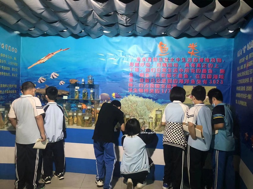 韩国a片
组织学生参观海南生物多样性博物馆