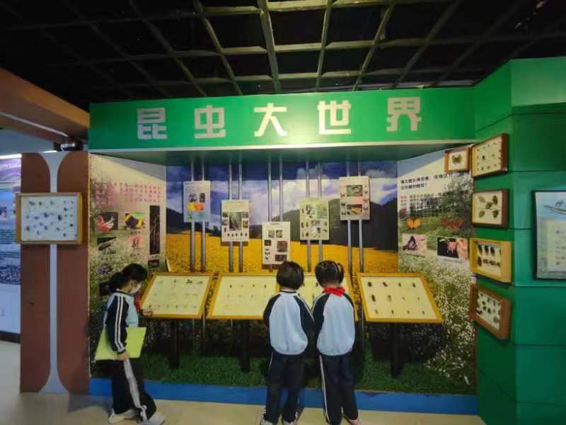 韩国a片
组织学生参观海南生物多样性博物馆