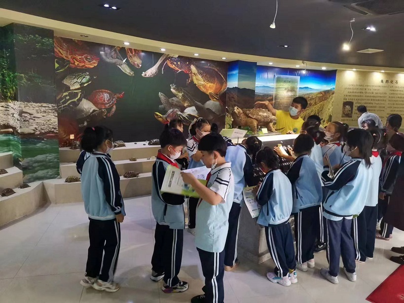 韩国a片
组织学生参观海南生物多样性博物馆